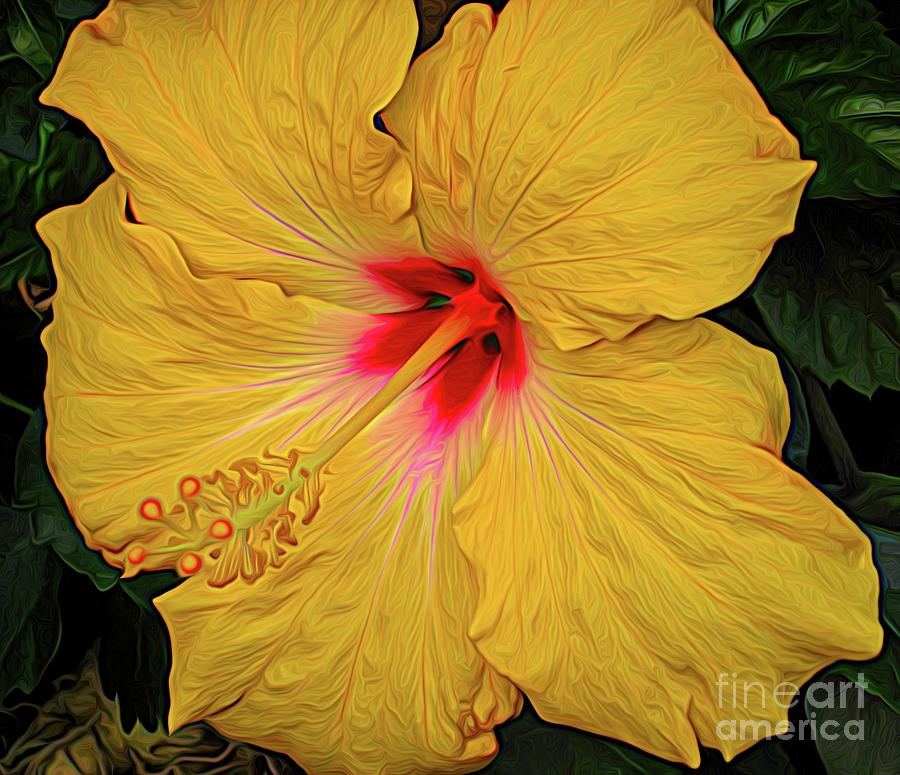 Yellow Hibiscus Flower Abstract Expressionism Photograph by Rose Santuci-Sofranko