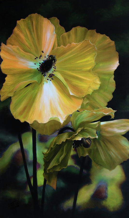 Yellow Himalayan Poppy Painting by Lynne Pittard