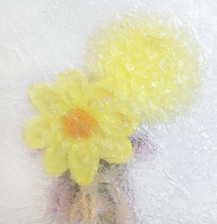 Yellow in Abstract Photograph by Sylvia Goldkranz