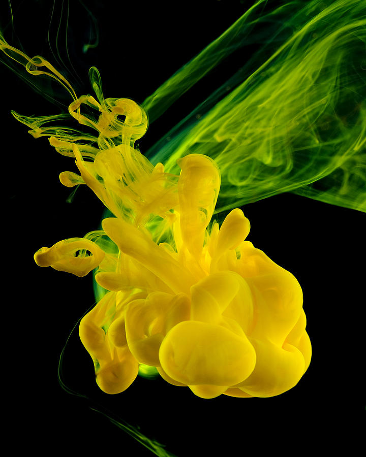 Yellow ink in water heart Photograph by Studiokime