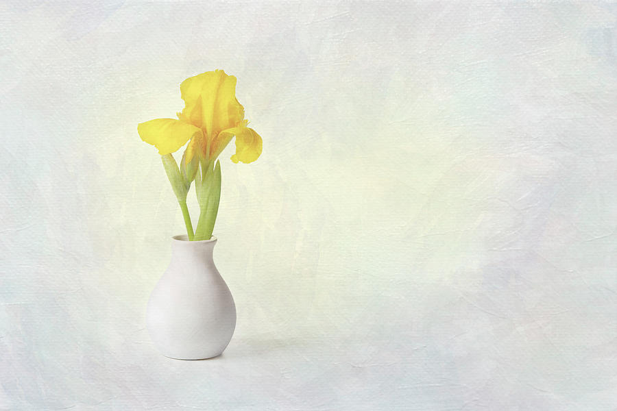 Yellow Iris Bud Vase with Texture Photograph by Patti Deters