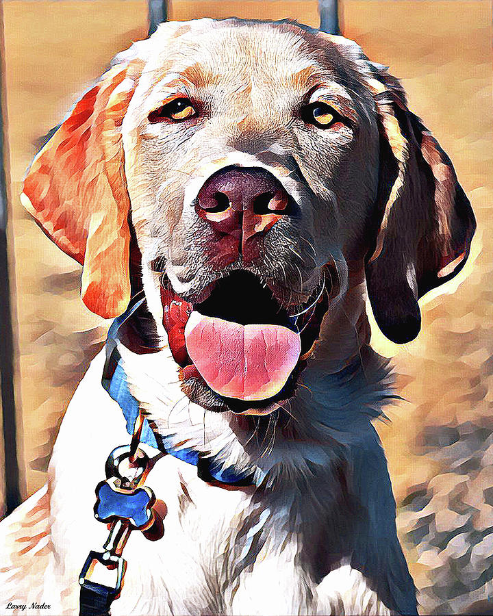 Yellow Lab Digital Art by Larry Nader