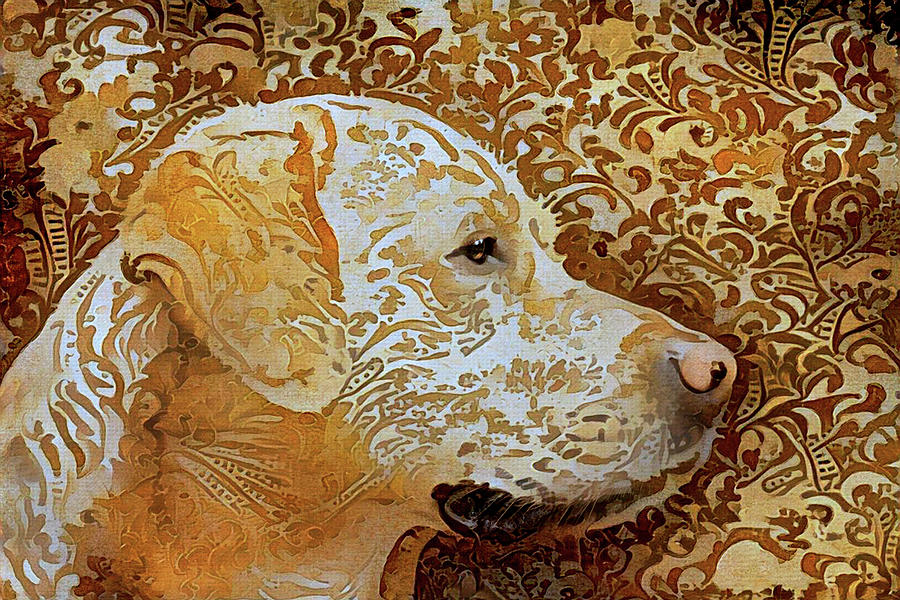 Yellow Labrador Retriever Portrait Digital Art by Peggy Collins
