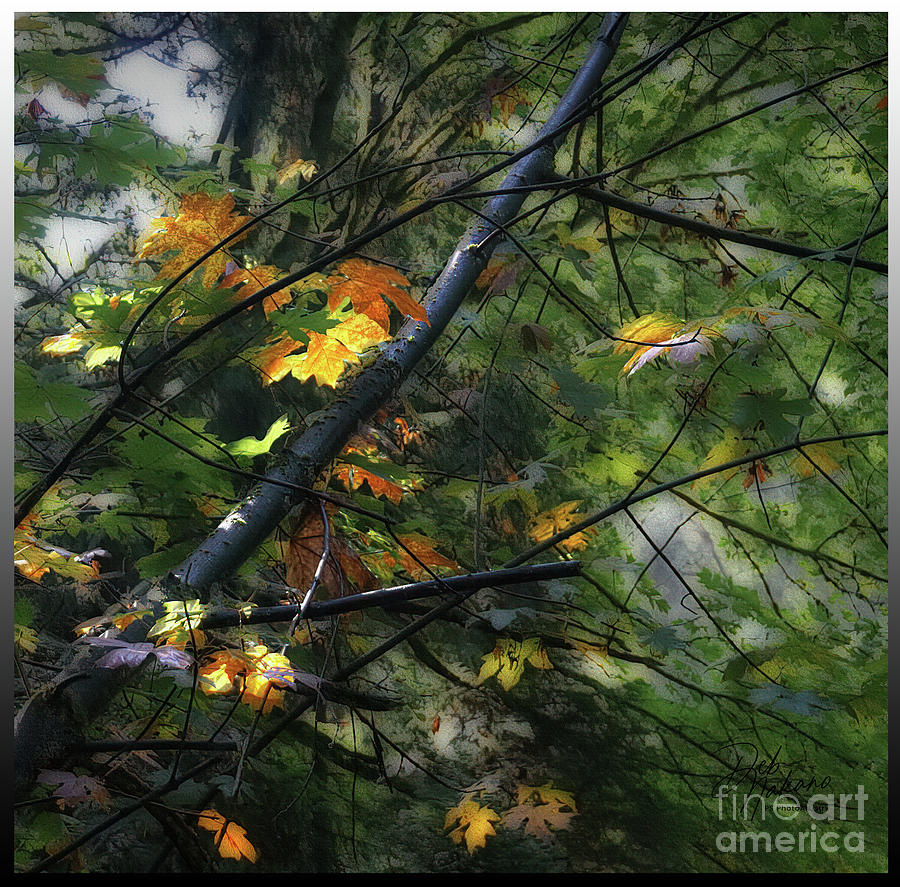 Yellow Leaves with Blur Digital Art by Deb Nakano