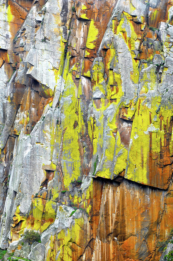 Yellow lichen on a rock face Mixed Media by Lorena Cassady