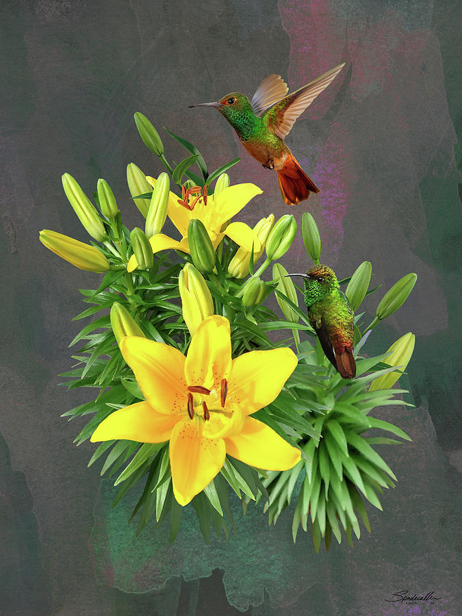 Yellow Lily and Hummingbirds	  Digital Art by Spadecaller