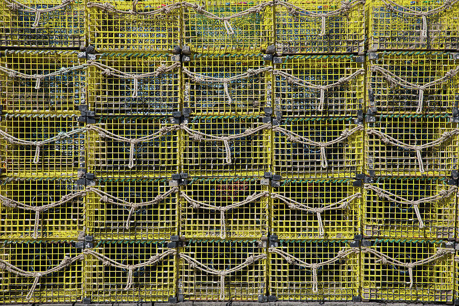 Yellow Lobster Traps Photograph by Denise Kopko