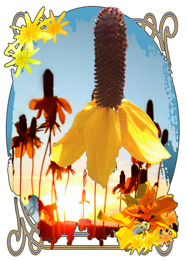 Yellow Mexican Hat Summer Flower Collage Digital Art by Delynn Addams