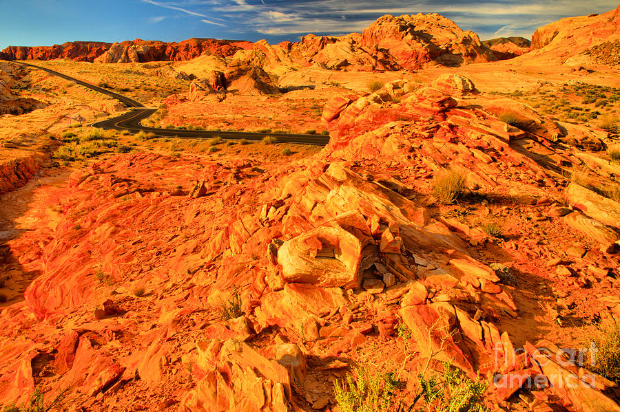 Yellow Nevada Landscape Photograph by Adam Jewell
