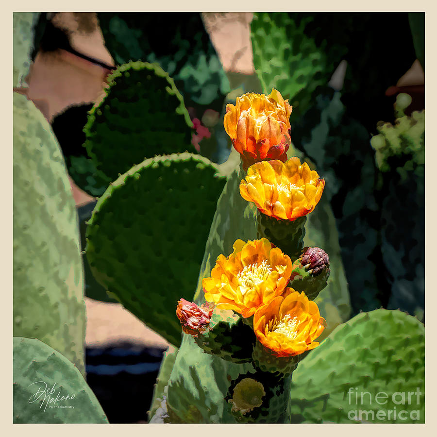 Yellow/Orange Cactus Flowers Digital Art by Deb Nakano