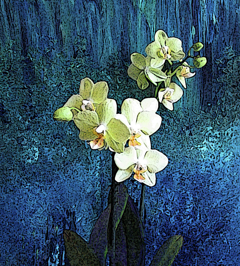 Yellow Orchids on Blue Photograph by Corinne Carroll