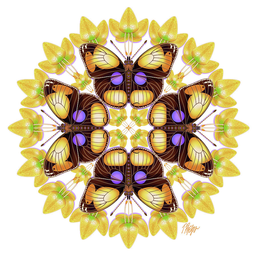 Yellow Pansy Butterfly Barleria Mandala Digital Art by Tim Phelps