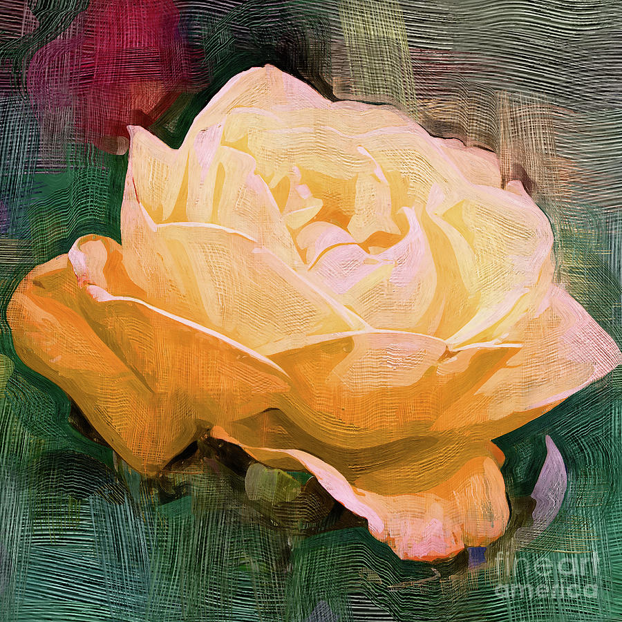 Rose Digital Art - Yellow Radiant Rose by Kirt Tisdale