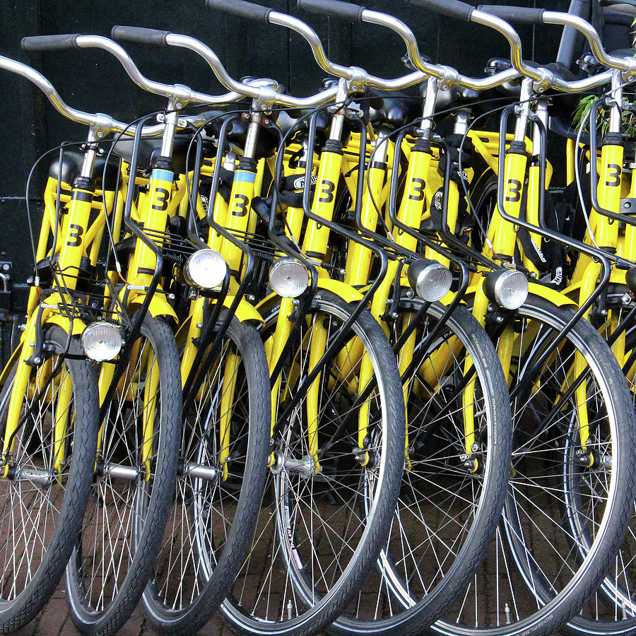 Yellow Rental Bikes Photograph by Decoris Art