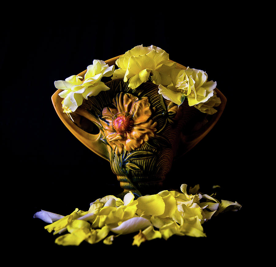 Still Life Photograph - Yellow Rose and Petal by Hyuntae Kim