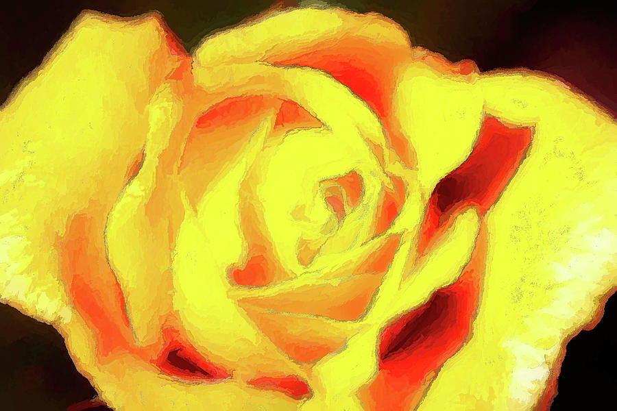 Yellow Rose ap Painting by Dan Carmichael