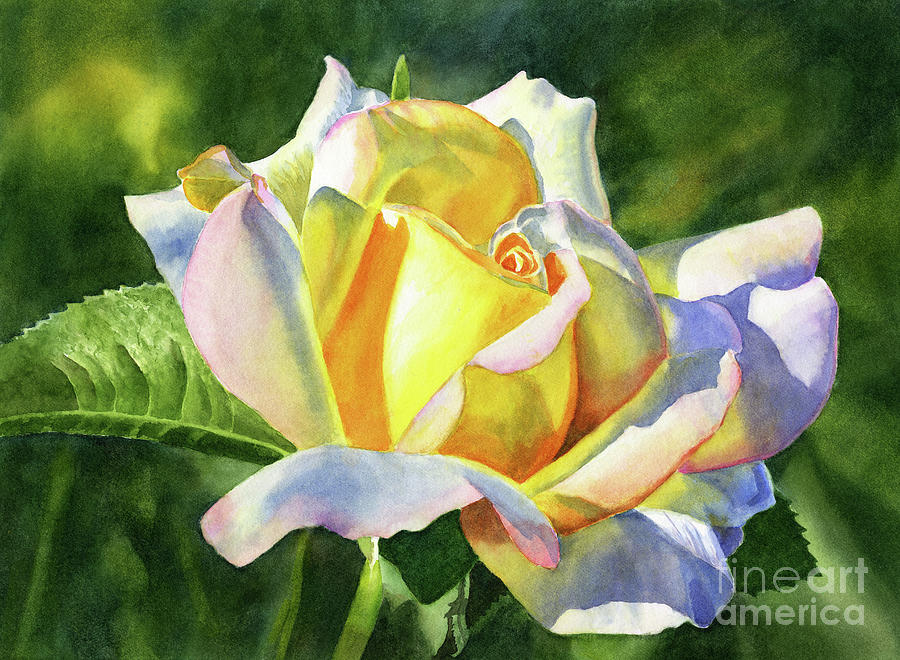 Yellow Rose Bud with Shadows Painting by Sharon Freeman