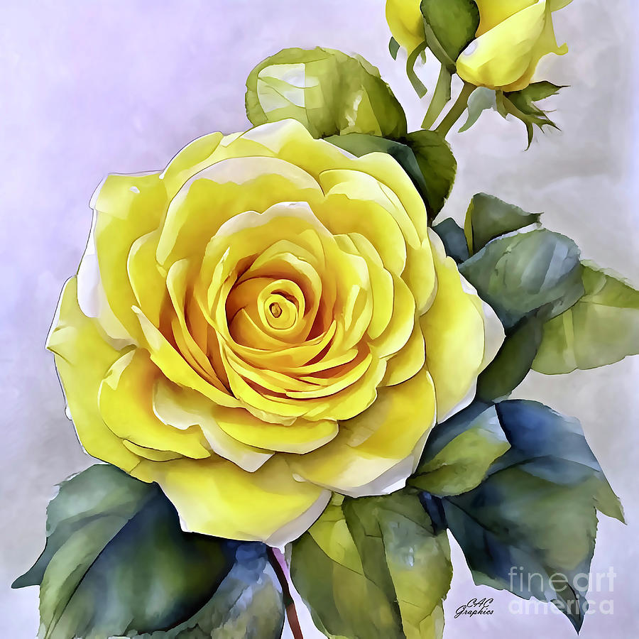 Yellow Rose In Bloom Painting by CAC Graphics