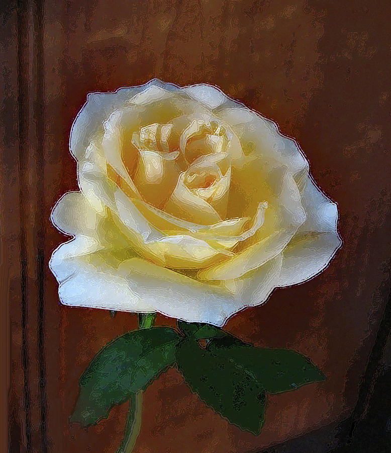 Yellow Rose in Bloom Photograph by Corinne Carroll