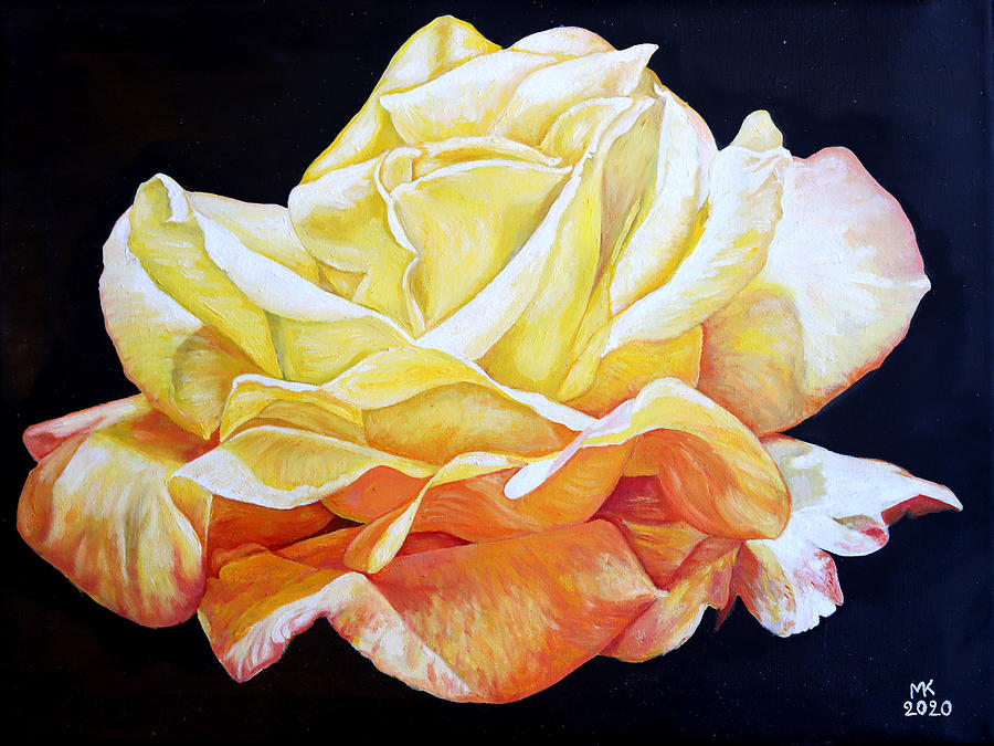 Rose Painting - Yellow Rose by Melvyn Kahan