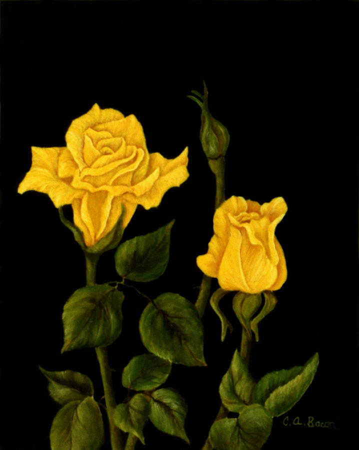 Yellow Rose of Texas Painting by Charlotte Bacon