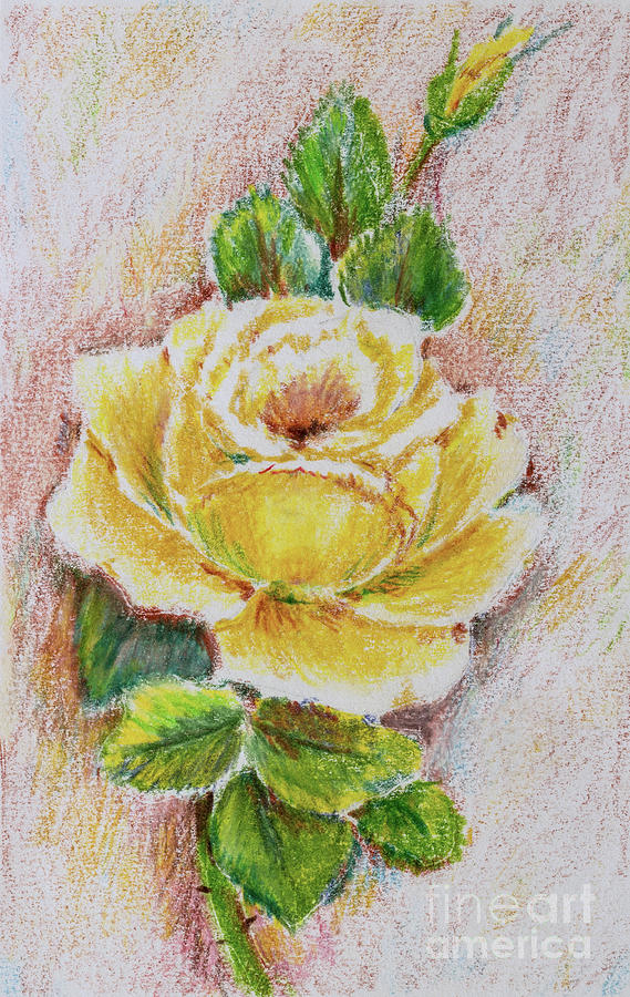 Yellow Rose Drawing by Pattie Calfy