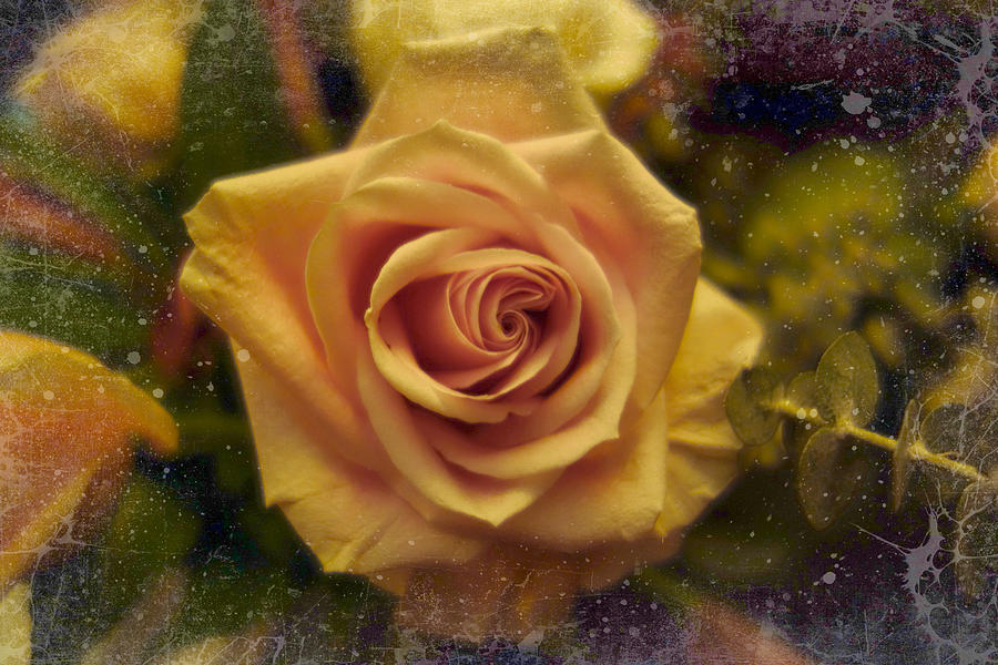 Yellow Rose PhotoArt Digital Art by Russel Considine