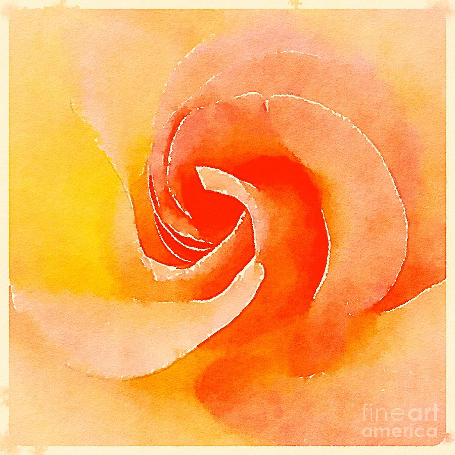 Painted Rose Digital Art by Wendy Golden