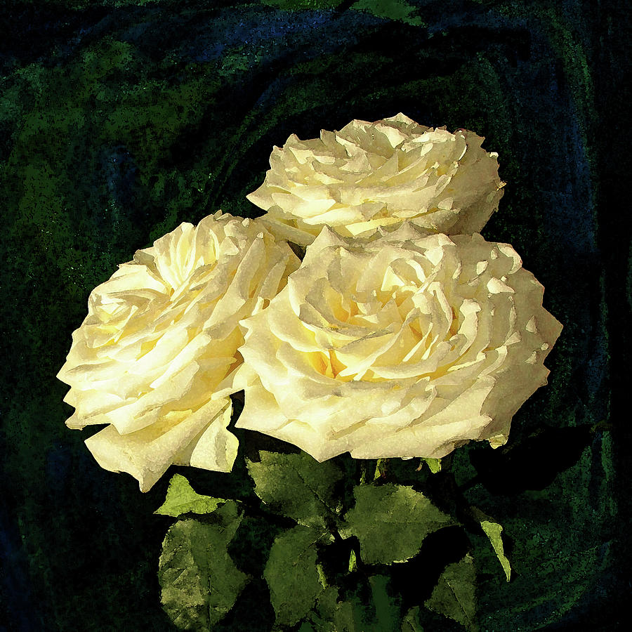 Yellow Roses 3710 Photograph by Corinne Carroll