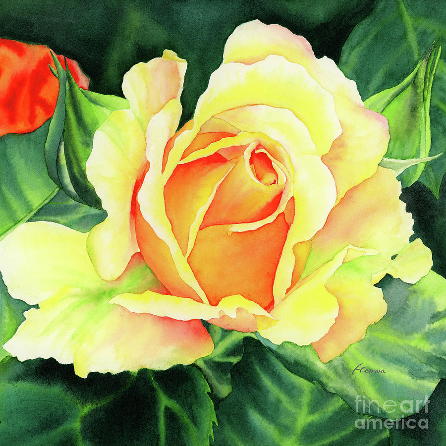 Yellow Roses - In Bloom Painting by Hailey E Herrera