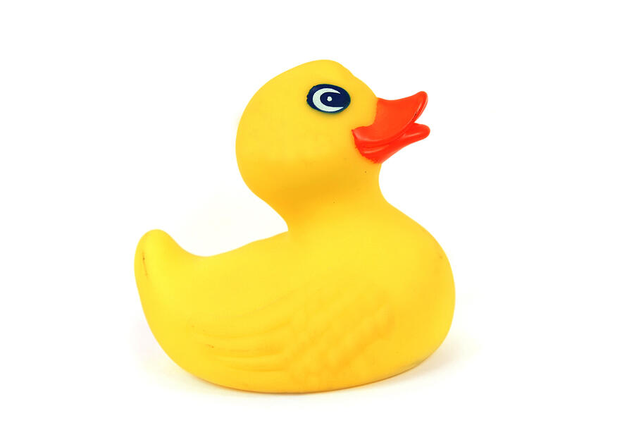 Yellow rubber duck on a white background Photograph by Colevineyard