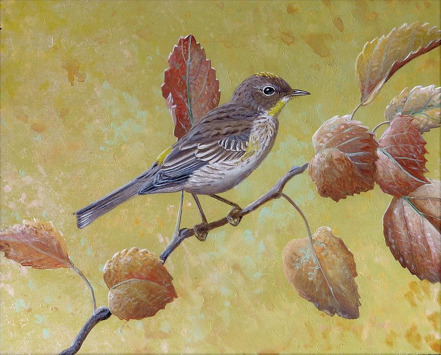 Yellow-rumped Warbler Painting by Barry Kent MacKay