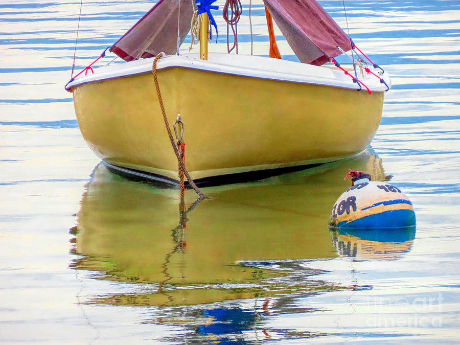 Yellow sailboat  Photograph by Janice Drew