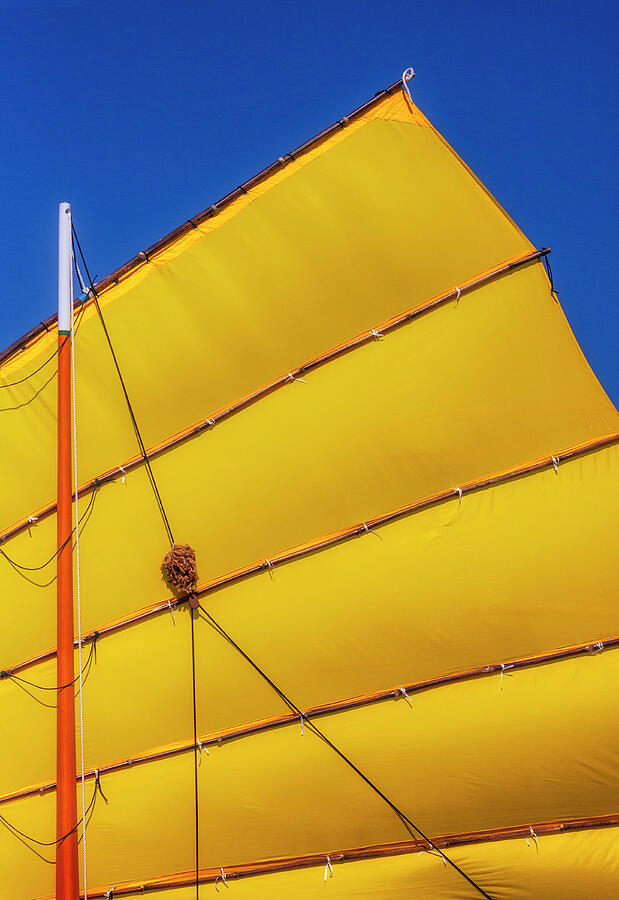 Yellow Sail and a Big Blue Sky Photograph by Carol Leigh