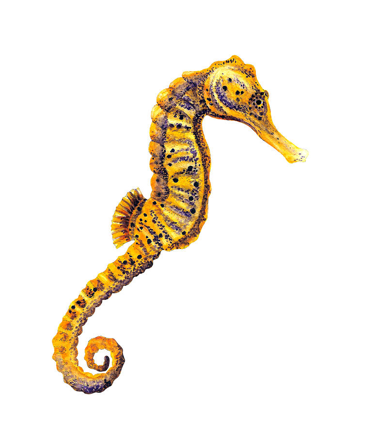 Seahorse Painting - Yellow seahorse by Loren Dowding