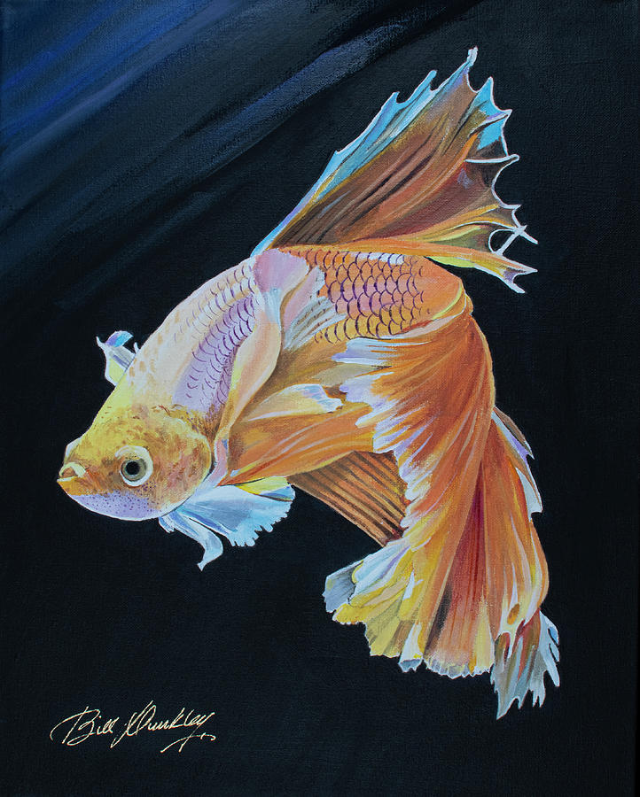 Yellow Siamese Betta Fish Painting by Bill Dunkley
