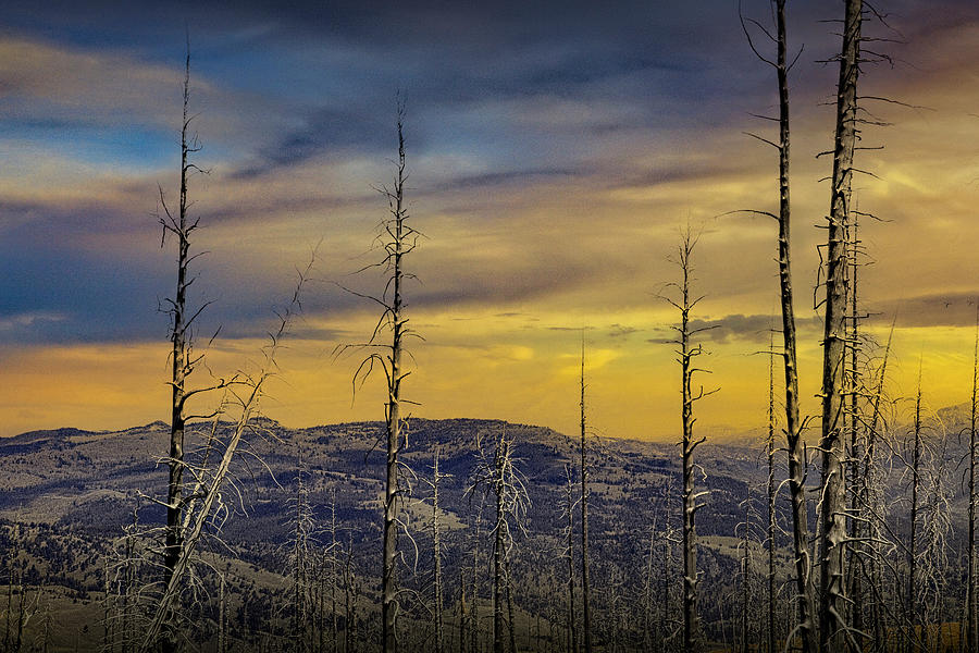 Yellow Sky over the Mountains and Hills in Yellowstone National  Photograph by Randall Nyhof