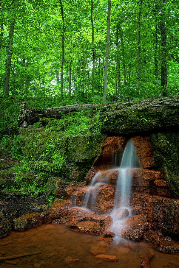Tree Photograph - Yellow Springs Waterfall Ohio by Dan Sproul