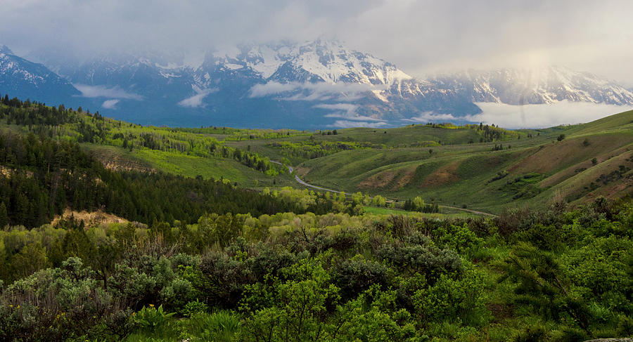 Yellow Stone National Park Landscape Photograph by Karen Cox