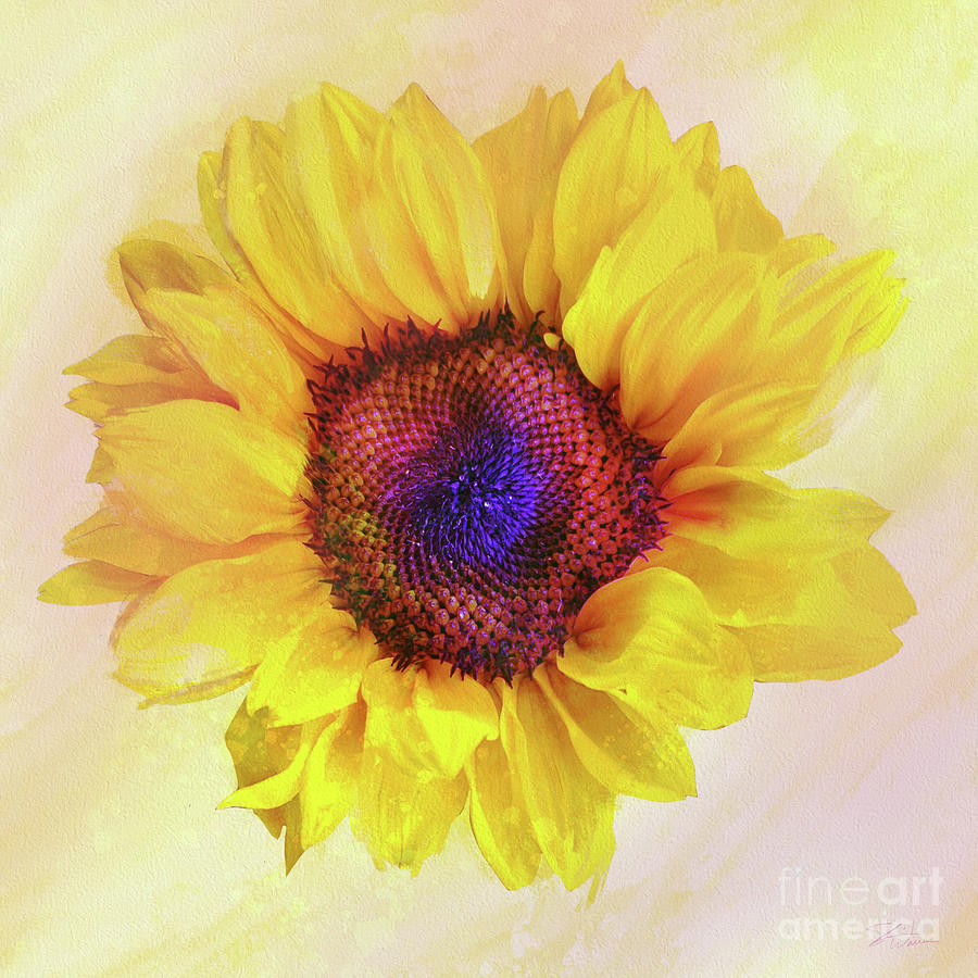 Yellow Sunflower Happiness Mixed Media by Shari Warren