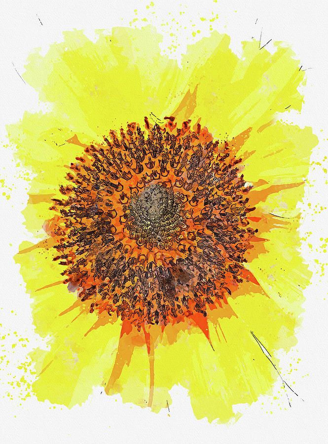 Yellow Sunflower, watercolor, ca 2020 by Ahmet Asar Digital Art by Celestial Images