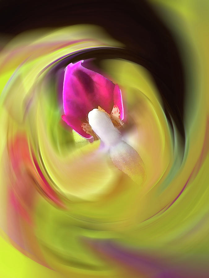 Yellow Swirl Digital Art by Bearj B Photo Art