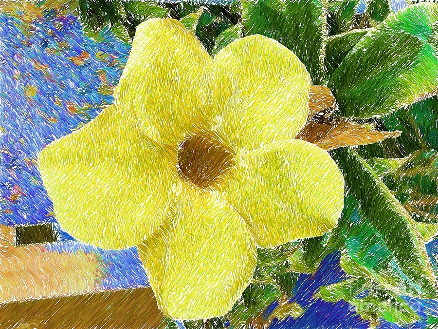 Yellow Thunbergia Alata Vine Photograph by Katherine Erickson