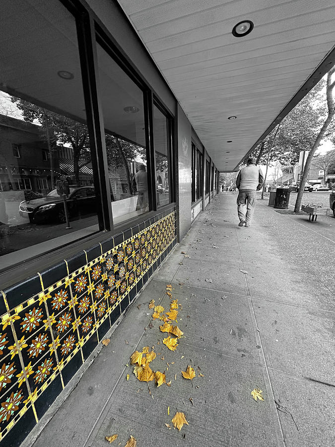 Black And White Photograph - Yellow Tile and Leaves by Cecily Vermote