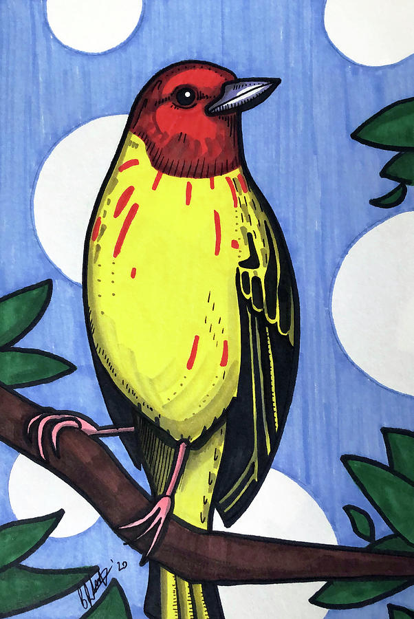 Yellow Warbler Drawing by Creative Spirit