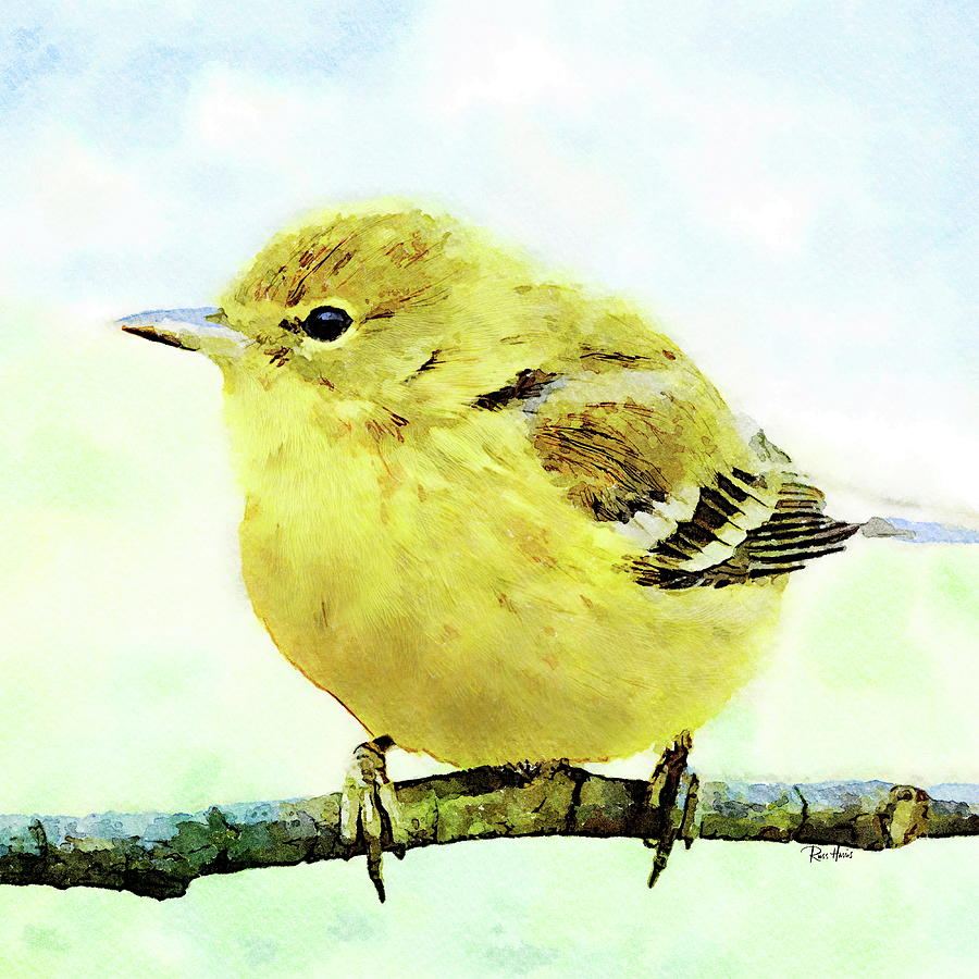 Yellow Warbler Painting by Russ Harris