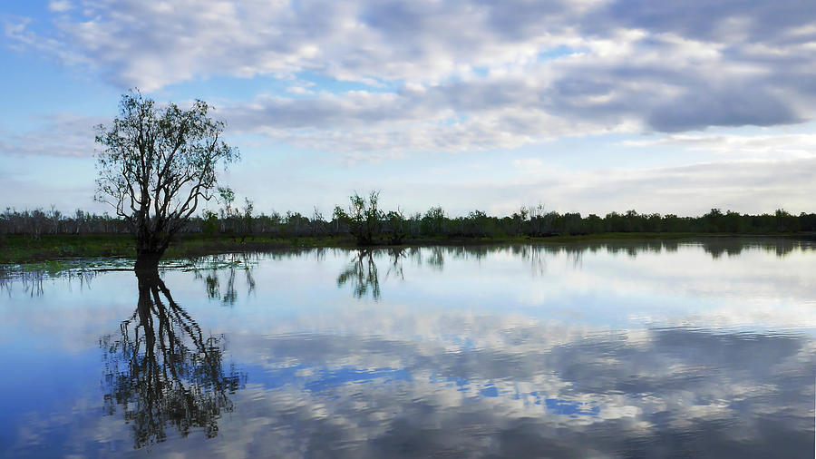 Yellow Water Billabong - Kakadu National Park Photograph by Lexa Harpell