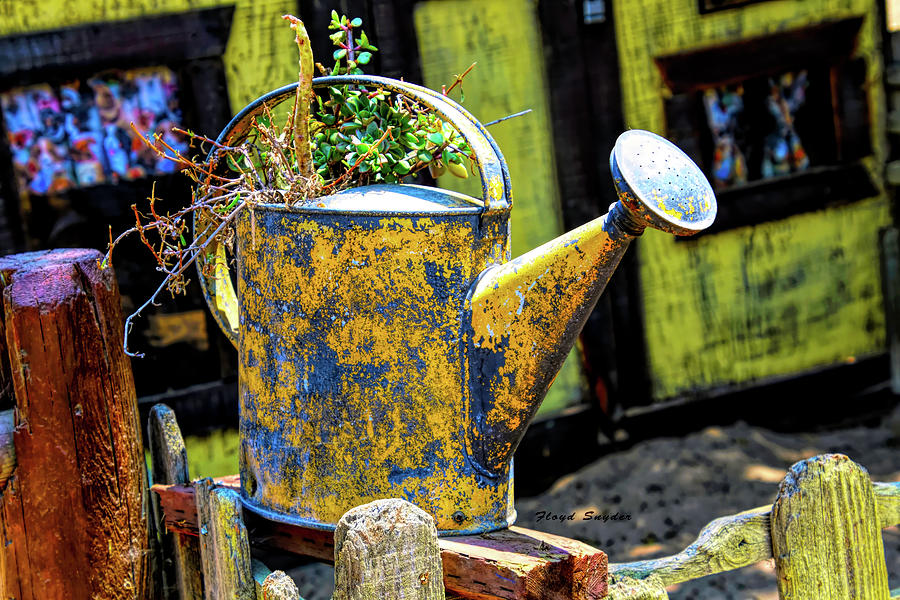 Yellow Watering Can at Waller Park Photograph by Barbara Snyder