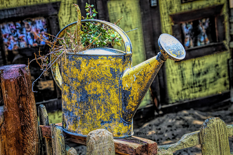 Yellow Watering Can at Waller Park H D R Photograph by Floyd Snyder