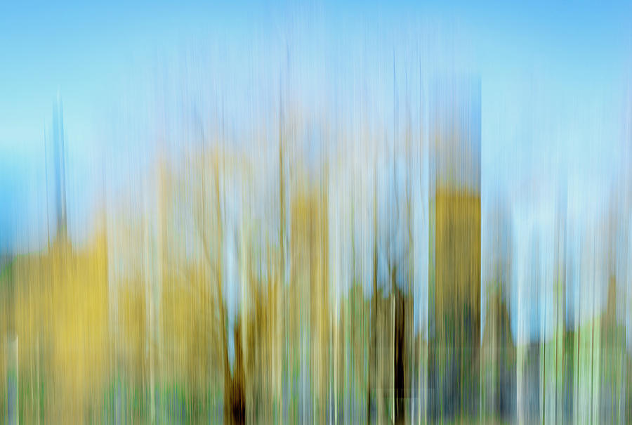 Abstract Photograph - Yellow Weeping Willow by Cate Franklyn